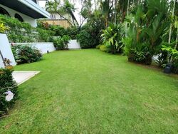 Bukit Timah Road (D21), Detached #543961691